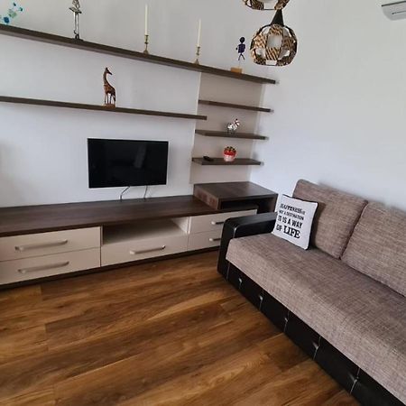 Ferienwohnung Apartament Mirubias Brașov Exterior foto